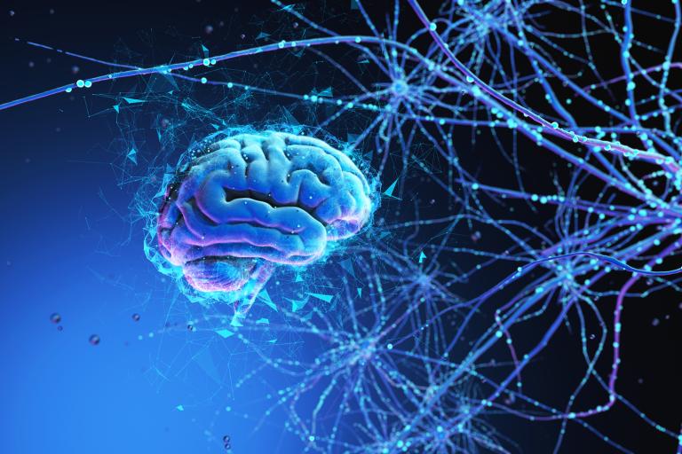 a rendering of a brain with an electrified network of neurons